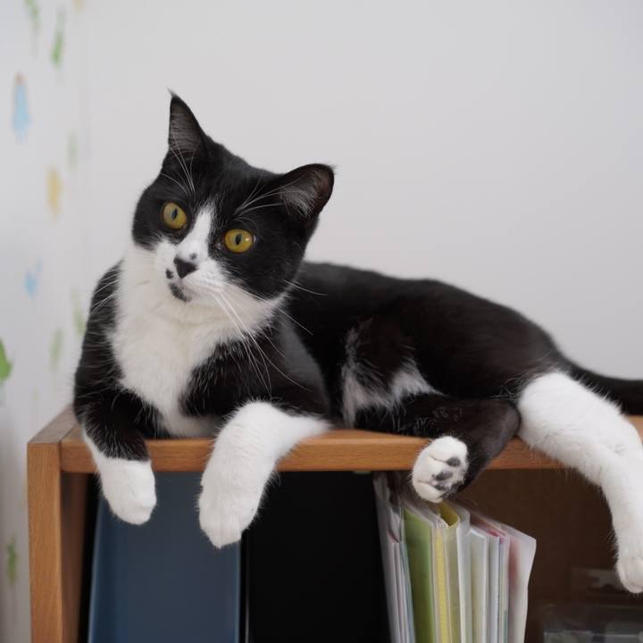 Afc90c6a 357b 491e 84c2 476eccb7cee8 1649599909133