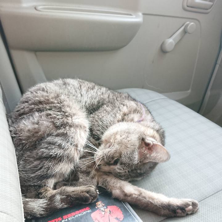 Afc915e1 9009 4ca0 a8fa b7ba75e98978 1582957775715