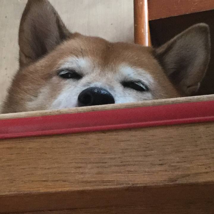 Afc9855a 82f7 47b4 9f8f d3cee042f77f 1600761776417