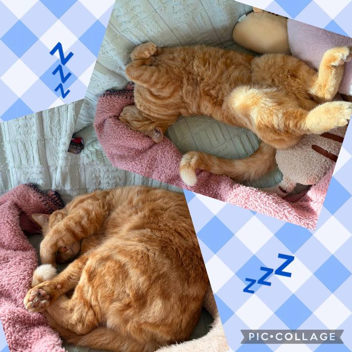 Afc9aaa6 5d92 4156 8bbb b7abc71eda71 1772664417901