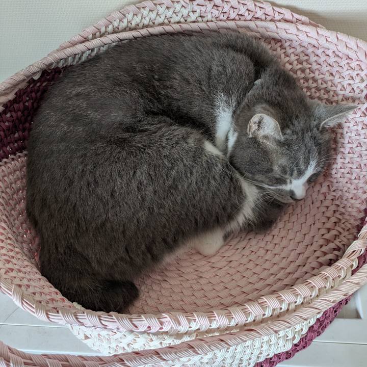 Afc9b15b 051c 4b4a 971a 6d5191277096 1752633129668