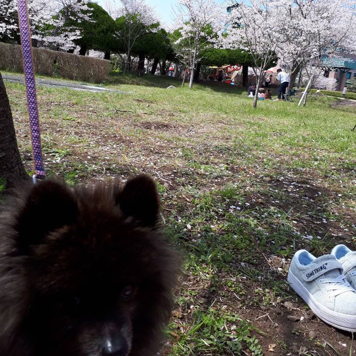 Afca2eb7 d122 4f17 9a40 73bc5f58e902 1522123433303