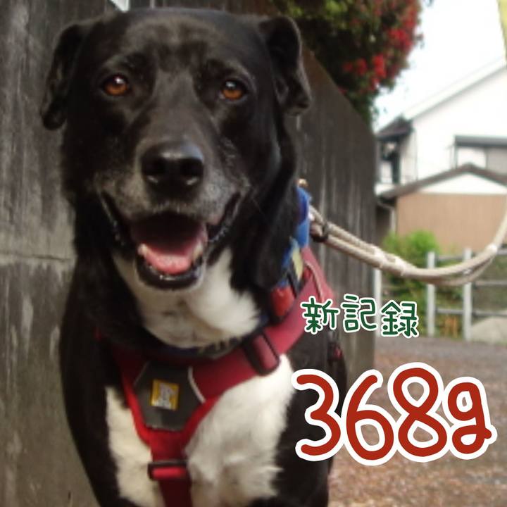 Afca4a5f 7d20 4641 8f83 49924de687ec 1680655728461