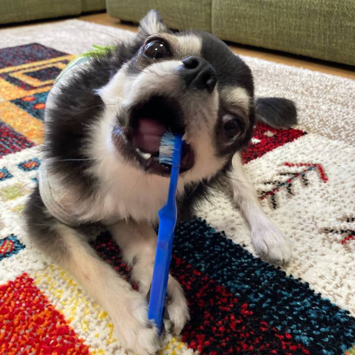 Afca570b f03d 44c7 acd9 dd7c564c610e 1683213910551