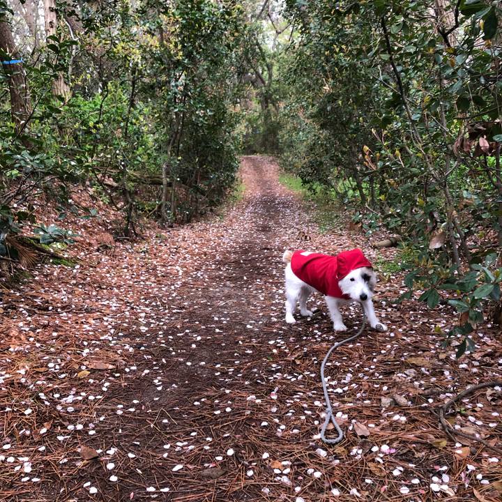 Afca7183 acf8 4402 9a07 a7f4aa62f644 1587512942597