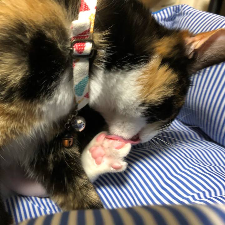 Afca9c34 5da2 4d37 a3b9 ae17d70c4483 1563101979220