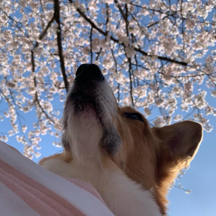 Afcab097 1944 4f90 a149 ba2195350bab 1679994274304