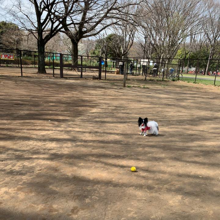 Afcb016b 69ad 4c34 8624 6f295d72fdbf 1553253768525