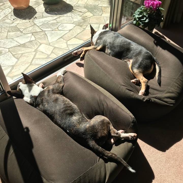 Afcb3f25 0319 45f1 b8d1 9b6338d6c6c8 1519964161614