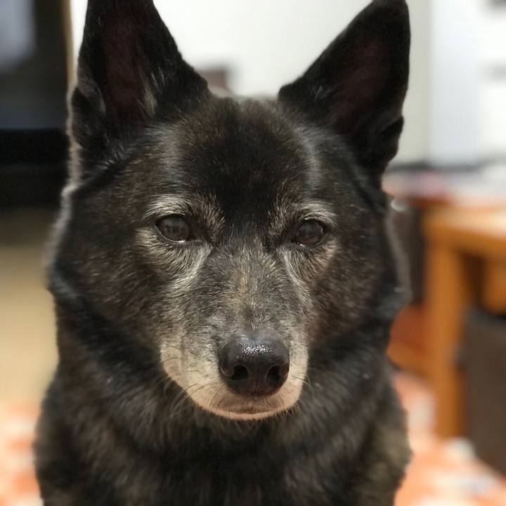 Afcb44cf 9e22 46e5 be78 1cb5f431d3b3 1512721613819