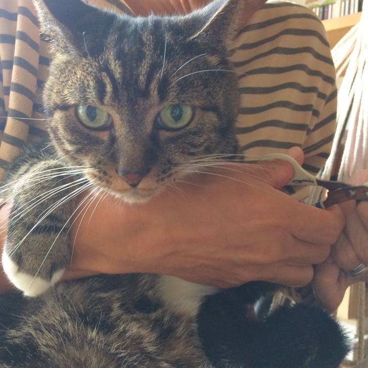 Afcb60a3 ab1f 46dd 8bcb f6486880714c 1539476630215