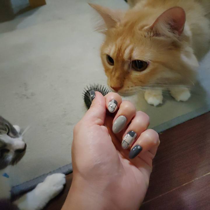 Afcb6c0a 0eaf 4ab4 9863 5640117fc9b2 1695033516806