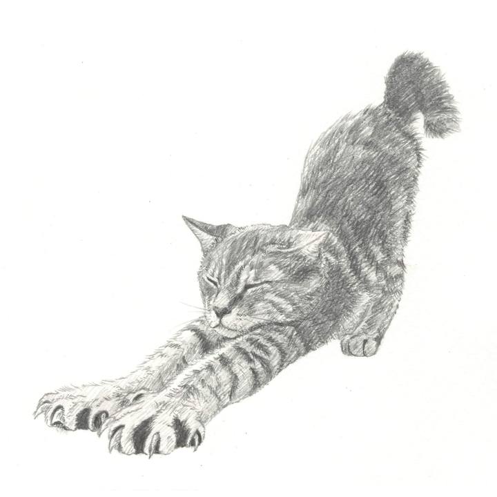 Afcb7e97 3114 41be 93d7 dcf7d3fc2253 1542287358812