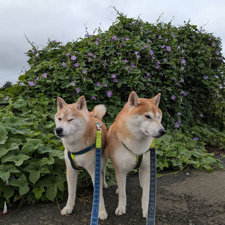 Afcb9b86 0994 41b5 9537 113aff7b9d1b 1758245070022