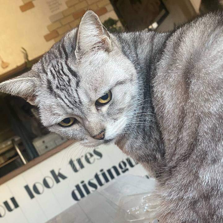 Afcba6b8 c20f 46ec 9f49 91c8250b148a 1739258570392