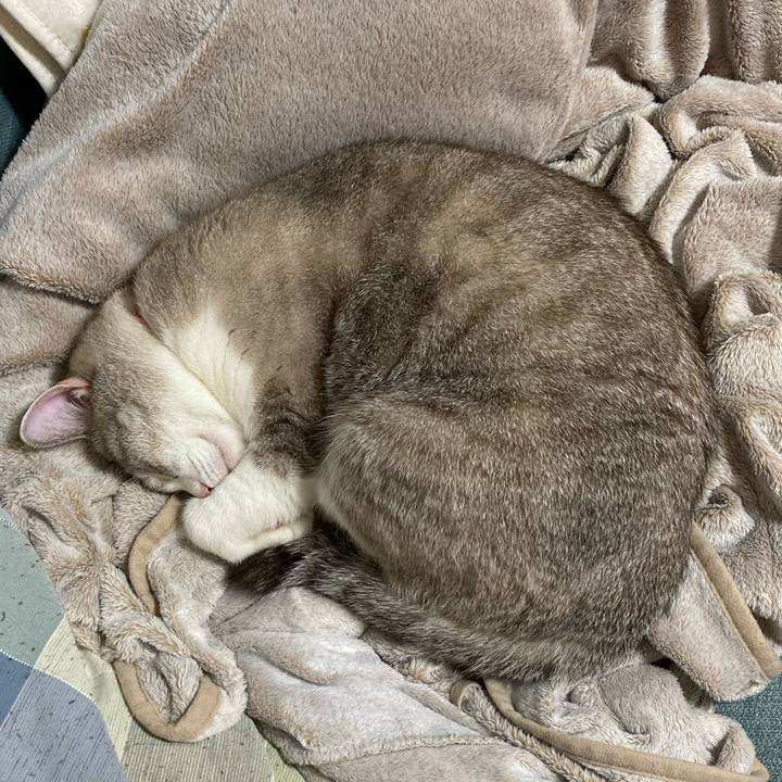 Afcbbd26 54f4 476c 9103 10ea27efd706 1666704525208