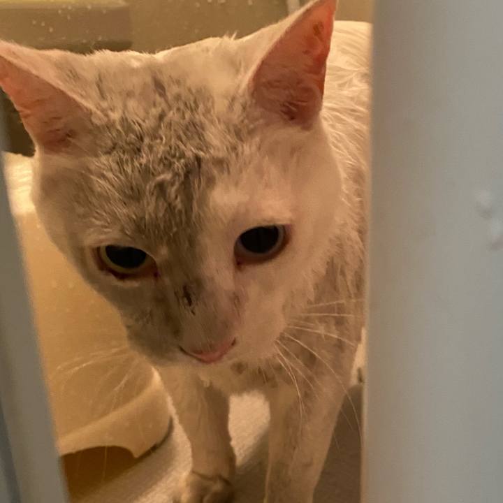 Afcbbf33 6fe5 4440 a78d 087b60f15082 1623324200542