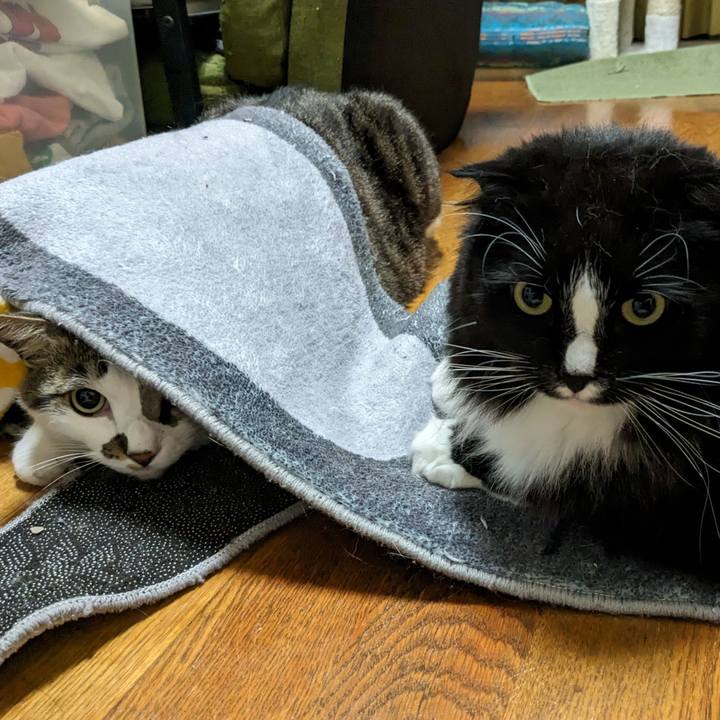 Afcbc18a 53b2 4cb8 8bde a7087c196bef 1712928759200