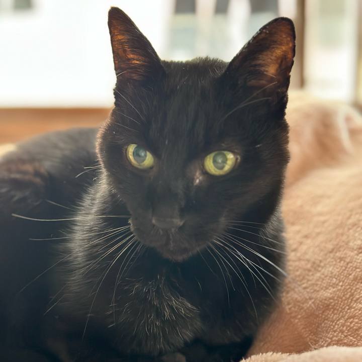 Afcbc52d 60fc 4ae1 832c 7288d9201467 1701736586276