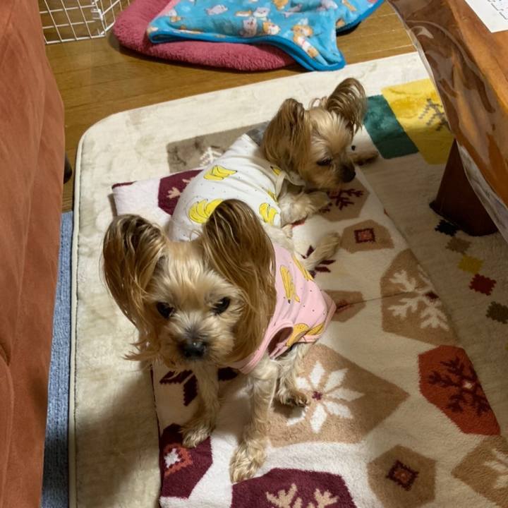 Afcbdfbd efb0 48af b54a 8d437be4375f 1636878973335