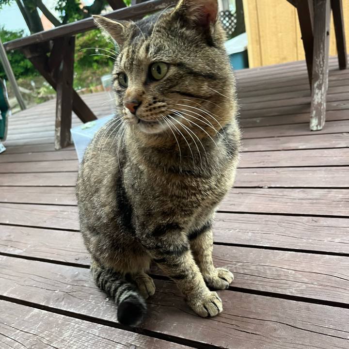 Afcbe334 7235 4377 97f9 361269c9f6ce 1750066960566