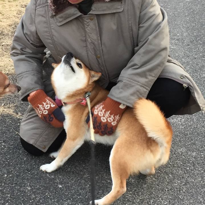 Afcbe3e2 e5bf 4c14 a841 3591e1376d4f 1519377001468