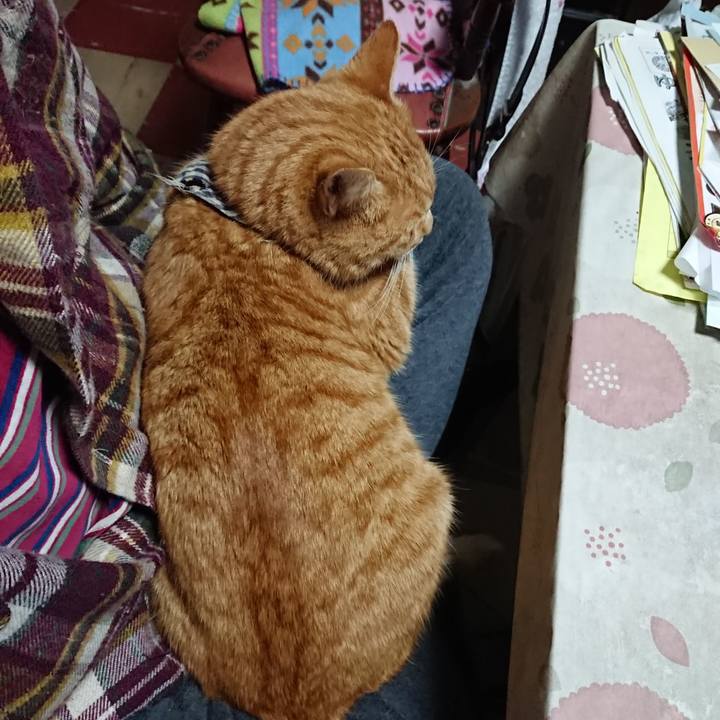 Afcc4942 b20f 4dbc 8890 2588a4294265 1576274785935