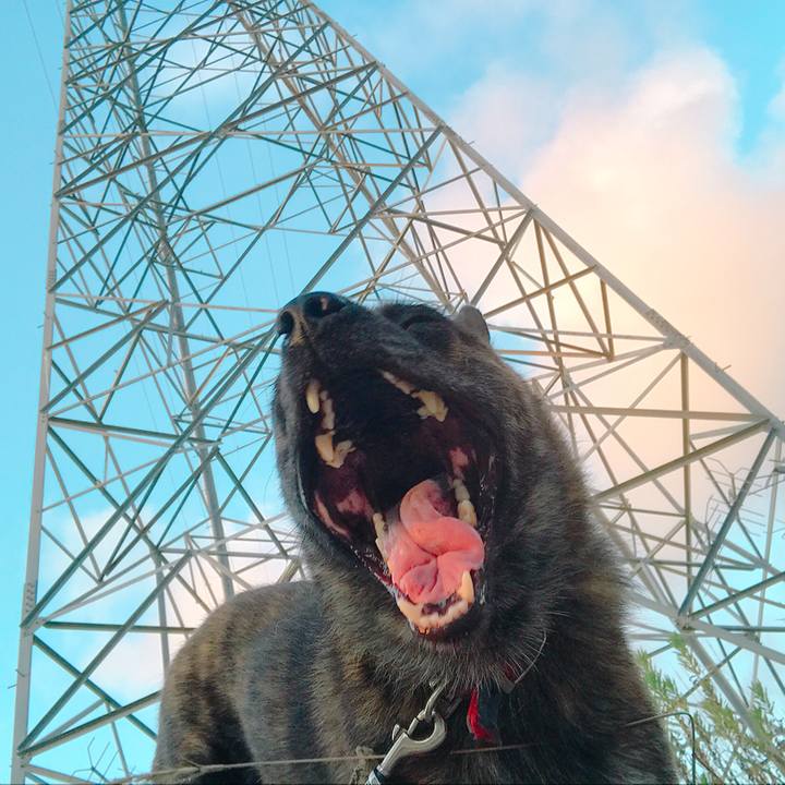 Afcc93a4 8330 464b ab77 8349a7f8faf0 1533207337136