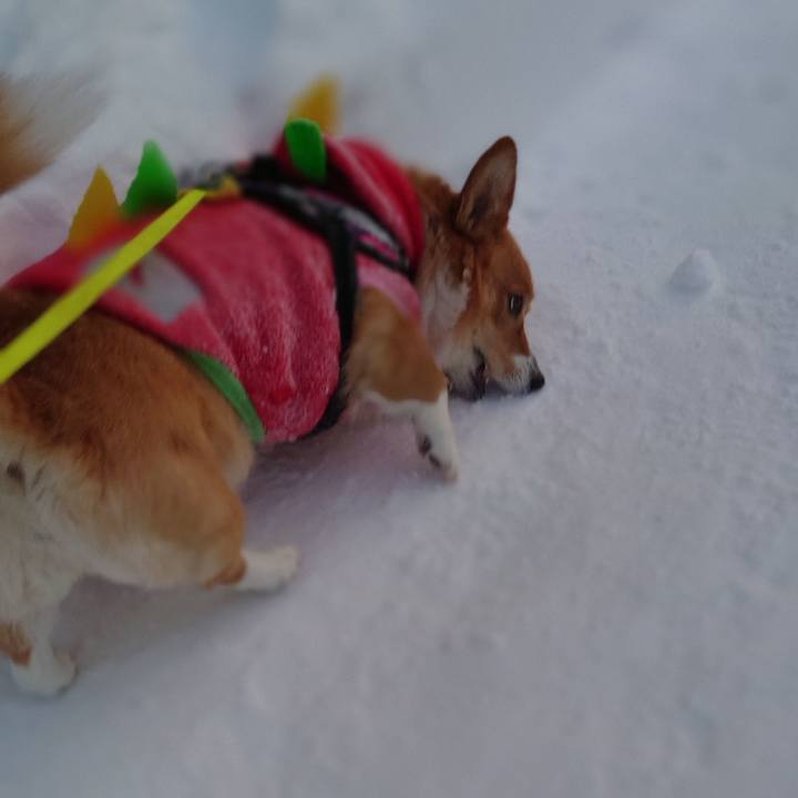 Afcca500 8d2b 4164 8b96 aa36296b52a3 1769556555035