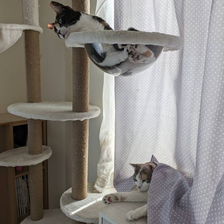 Afccb7f1 0686 4c12 b459 bca1955b0727 1716448764230