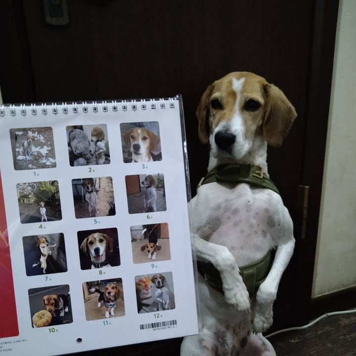 Afccccfd 2525 4cac a8a8 925dcfd4ef16 1669299498560