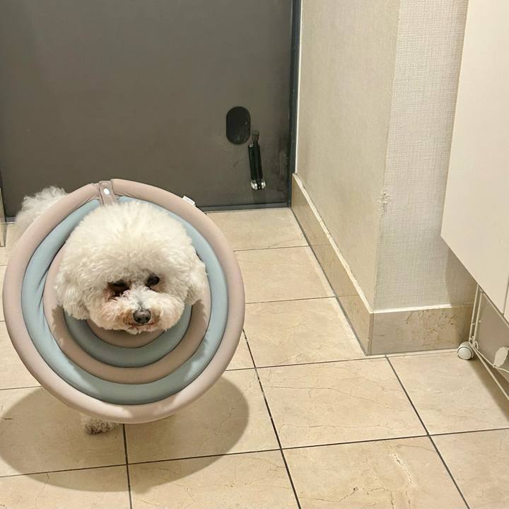 Afccd255 a7f5 43bb 83f9 c072236de2ce 1770940179616