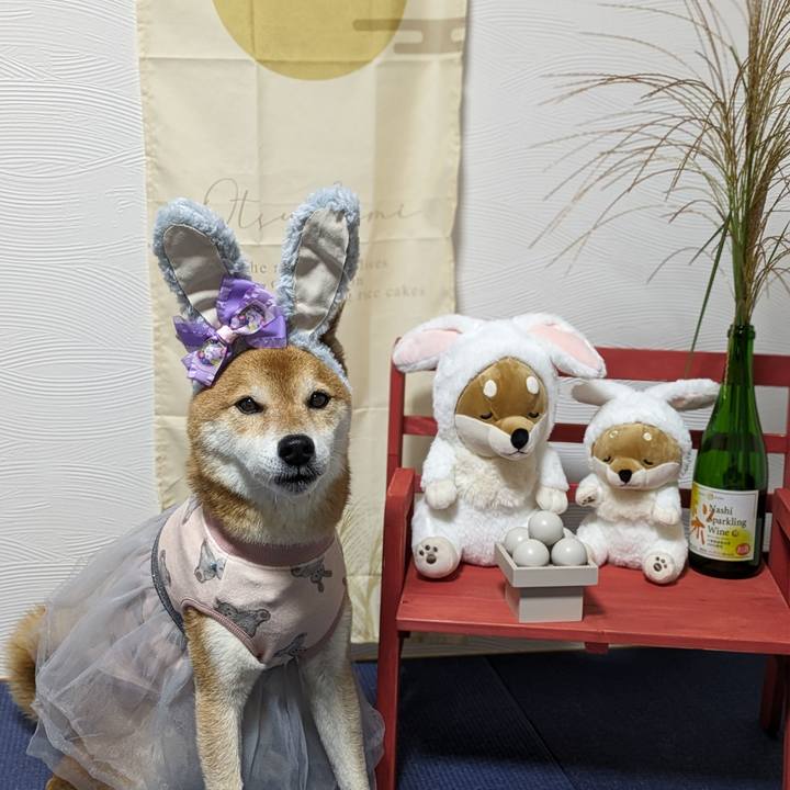 Afccd2fe efbc 4b4f b200 02bbed064520 1695981886132