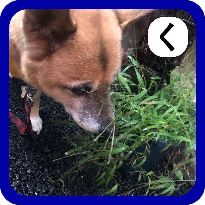 Afcd225c f604 4b18 89d2 bebb12682f70 1514900596055