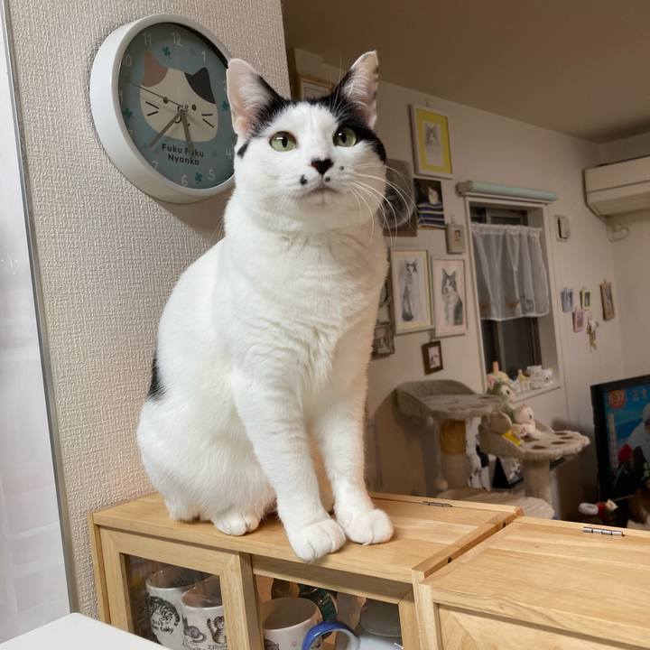 Afcd57eb 4d55 48cf be4a 5ea632f4ea46 1764880710196