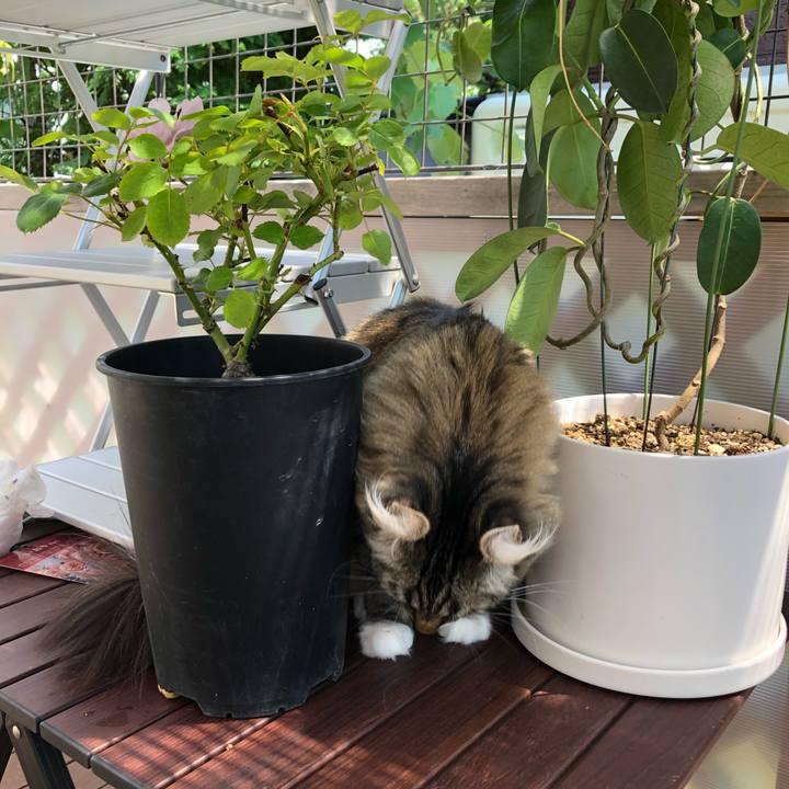 Afcd78a6 7d7a 41c1 b437 febdf3885bee 1567116874490