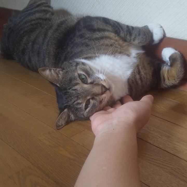 Afcd7feb b669 4430 8cc5 e735dbf4ed05 1756952098555