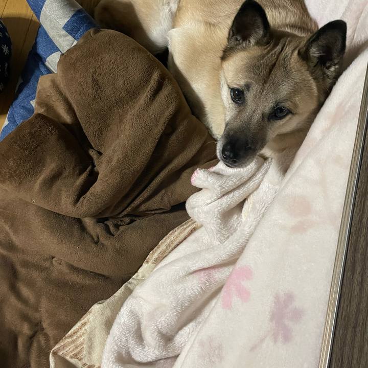 Afcd8bc8 cc26 4fbc 9b10 25843c36b16e 1707394920136