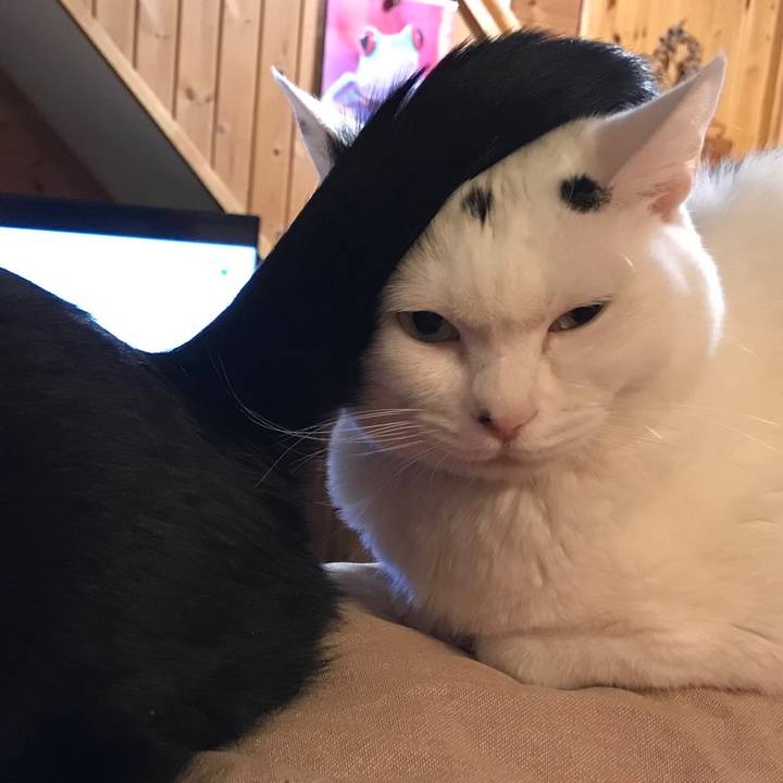 Afcd8cd0 5e47 47e6 9efe e441e7041b65 1650920762885