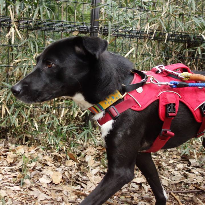 Afcda771 d401 4422 b1fa 0744b387b437 1585615342142