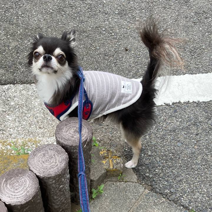 Afce30e0 7ddb 4fdb b080 2e577aae8a22 1716115408400