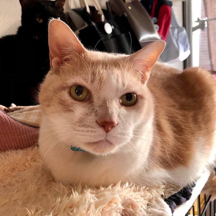 Afce8c94 db31 4f53 b3c0 e652baaec619 1612479260645