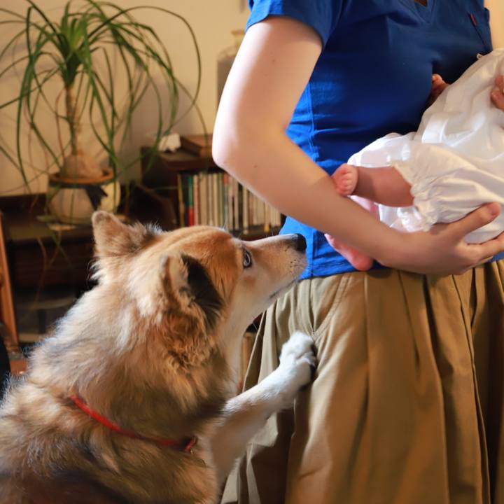 Afcebc3c b1a1 4cb1 ba15 48849a3f9715 1559110957740