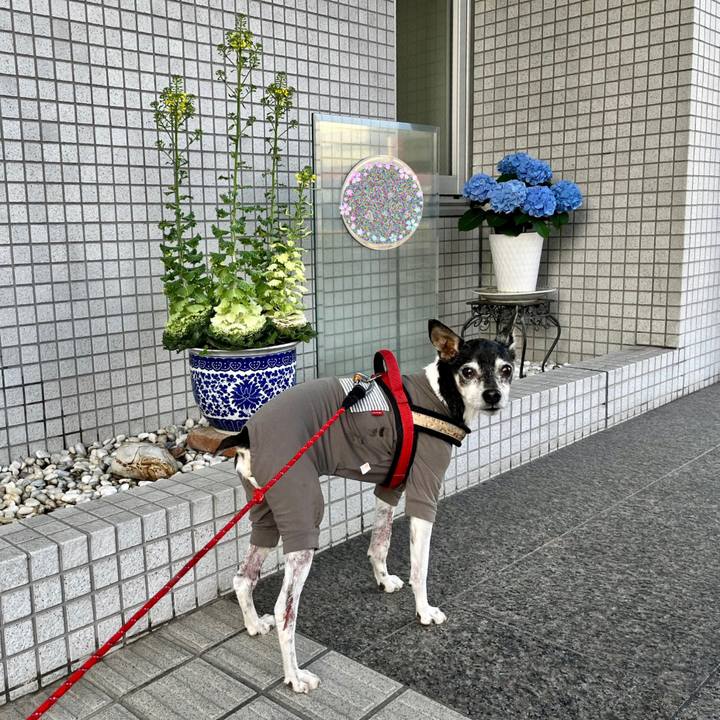 Afcecaeb 3bae 46f0 85d2 7fb2c393b1c5 1649717668526