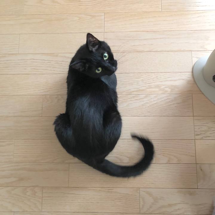 Afcef955 a965 45e9 bacc d82ed1792f75 1554729727903