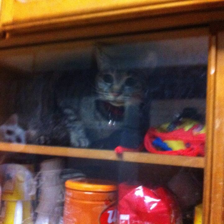 Afcf0368 473a 474d 878f 3b088fd77957 1556162121888