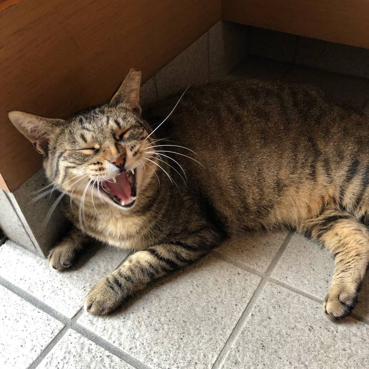 Afcf1a66 5140 417b 909c 0ed33229c124 1531298458636