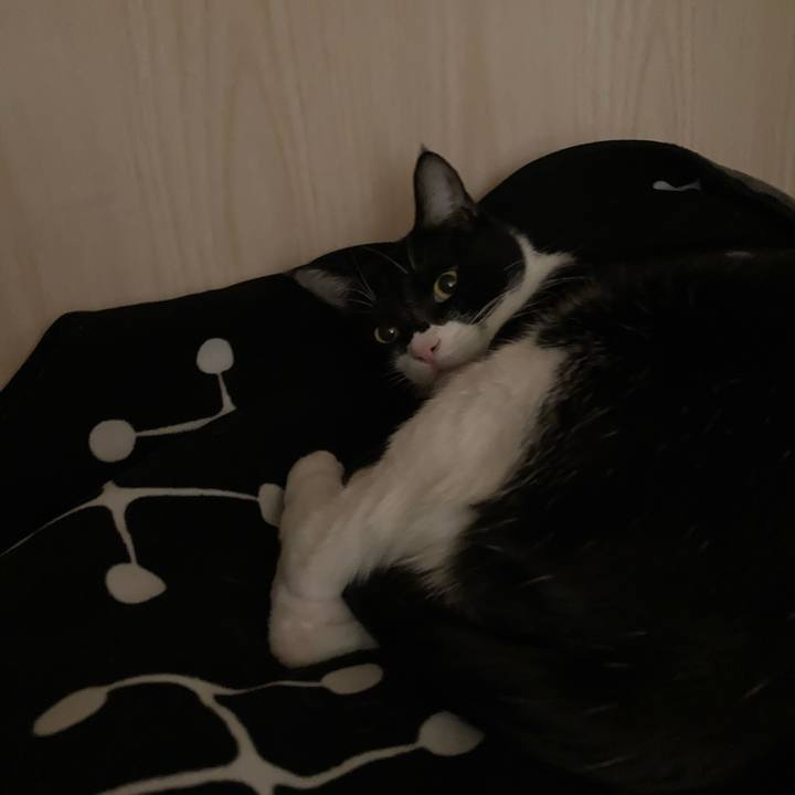 Afcf3ba8 6929 41e8 8f3b 94702892bcf2 1614136726586