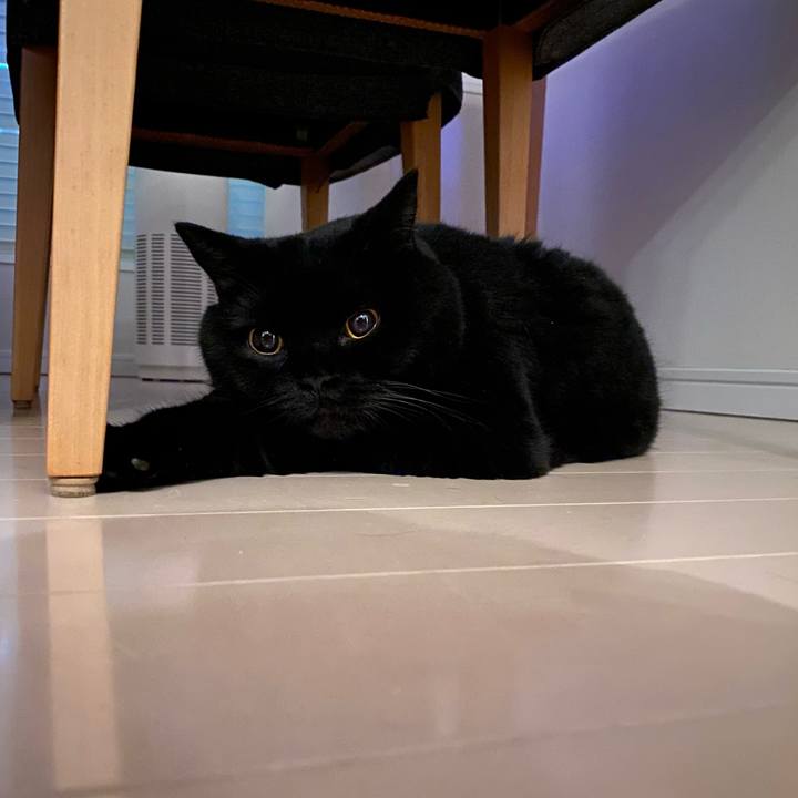 Afcf6e1b 0f3f 4baf b1c3 5a4edd1f117c 1722864702008