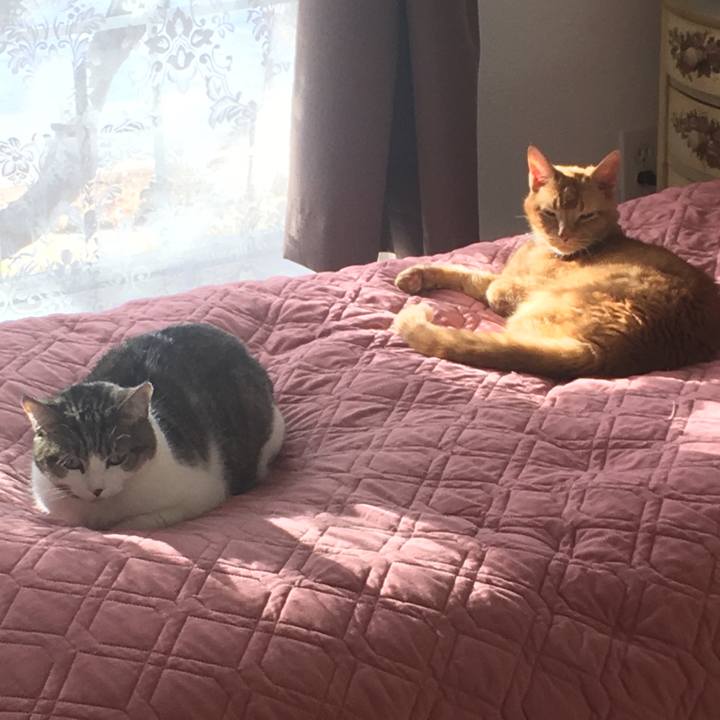 Afcf7935 23e9 42ac 8cb8 15eca9397552 1675587033032